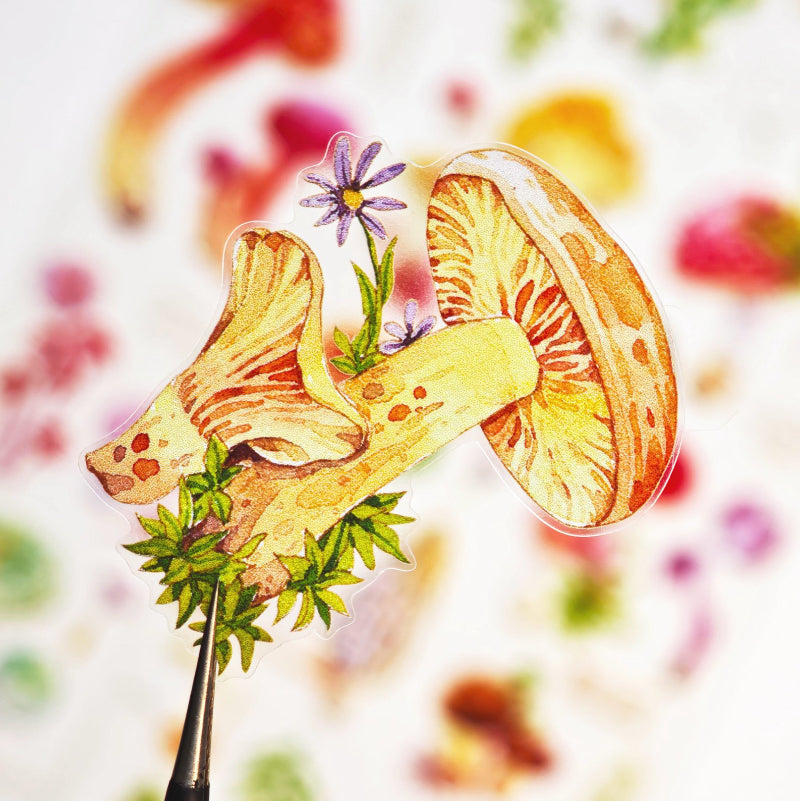 4.5cm*100cm Mushroom Identification Guide Die Cutting Washi/PET Tape featuring cat, and mushroom designs for journaling, scrapbooking and collage