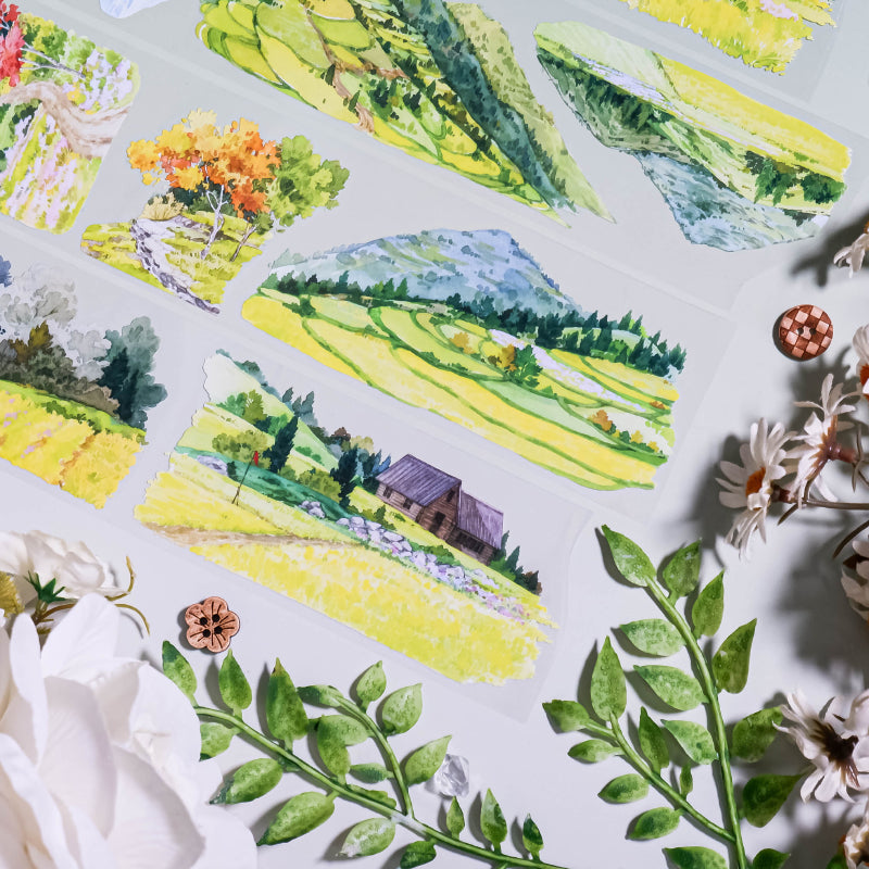 Whole Roll 6cm*5m Sunflower Field PET Tape featuring flower, and sun designs for journaling, scrapbooking and collage