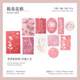 Primrose cotton