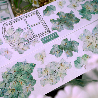 6cm*100cm Flower Architrave Die Cutting Shell Light Washi/PET Tape