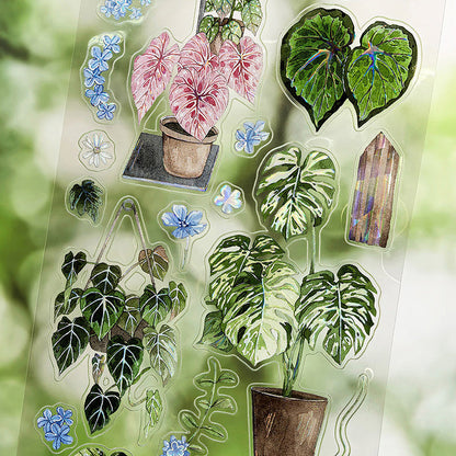 6.5cm*100cm Corner Forest Die Cutting Shell Light PET Tape featuring forest, and light designs for journaling, scrapbooking and collage