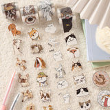 ALL (Including 4 Sets)