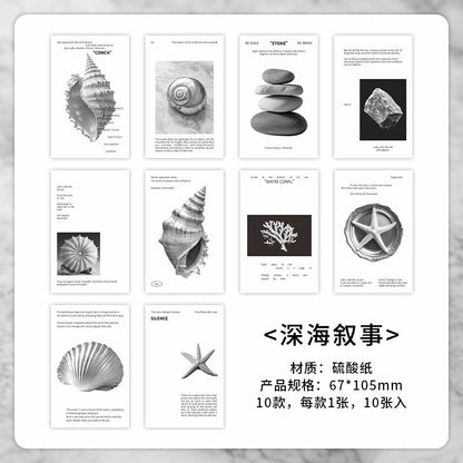 Fuzhou Island Four Seasons Material Paper