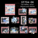 ST734-06