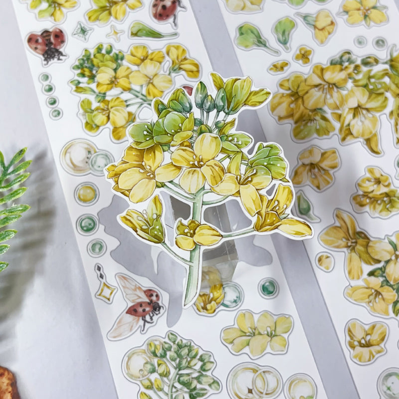 5cm*100cm Flower Insect Die Cutting Washi/Synthetic Paper/Shell Light PET Tape featuring flower, and light designs for journaling, scrapbooking and collage