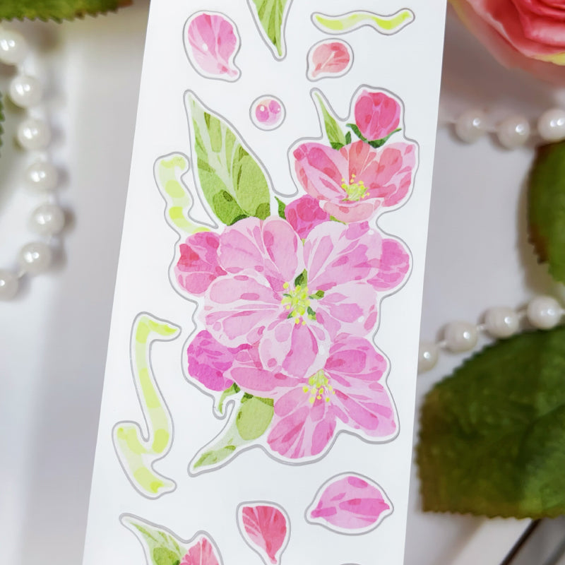 5cm*100cm Pine Ccented flower Washi/Self-adhesive/Shell Light PET Tape featuring flower, and light designs for journaling, scrapbooking and collage