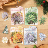 ALL (Including 4 Sets)
