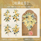 Lan zhi zhi xin