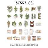 ST557-03