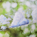 6.5cm*110cm Cloud Dream Floating World Die Cutting Shell Light PET Tape