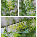 7.5cm*125cm Oasis Shell Light PET Tape