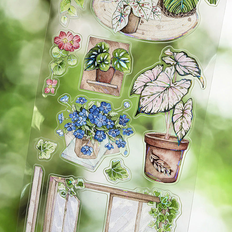 Whole Roll 6.5cm*5m Corner Forest Die Cutting Shell Light PET Tape featuring forest, and light designs for journaling, scrapbooking and collage