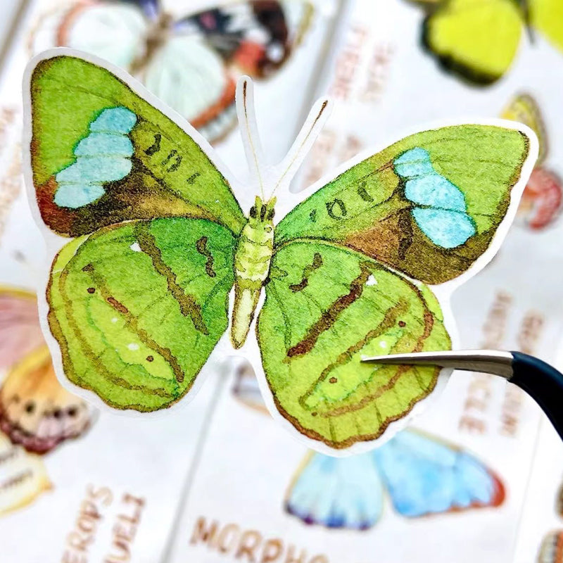 5cm*125cm Butterfly Identification Guide Die Cutting Washi Tape featuring butterfly, and cat designs for journaling, scrapbooking and collage