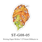 ST-G08-05