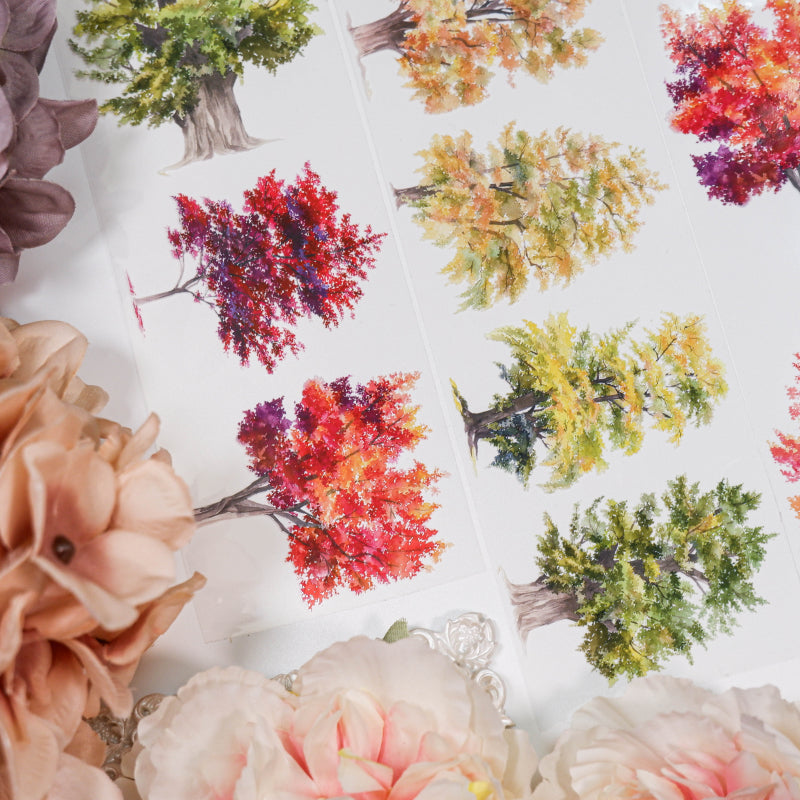 Whole Roll 6.5cm*5m Know Autumn PET Tape