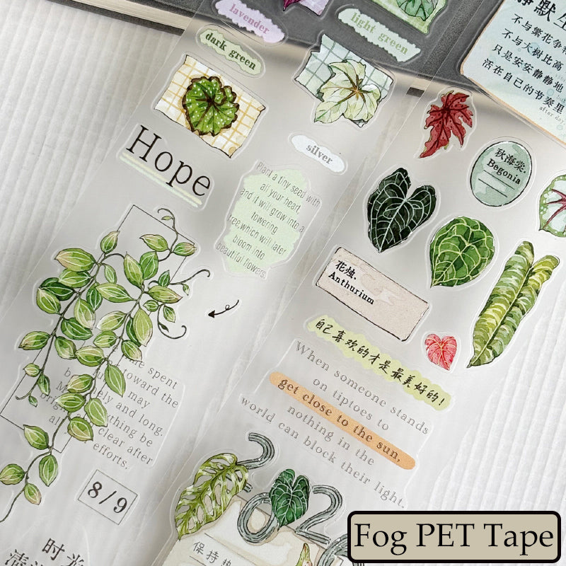 Whole Roll 5cm*6m Maintain Enthusiasm Die Cutting Washi/PET/Fog PET Tape
