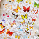 5cm*125cm Butterfly Identification Guide Die Cutting Washi Tape