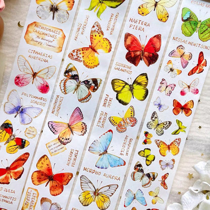 5cm*125cm Butterfly Identification Guide Die Cutting Washi Tape featuring butterfly, and cat designs for journaling, scrapbooking and collage