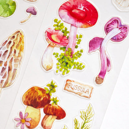 4.5cm*100cm Mushroom Identification Guide Die Cutting Washi/PET Tape featuring cat, and mushroom designs for journaling, scrapbooking and collage