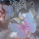 6cm*100cm Hyaline Feather Shell Light PET Tape