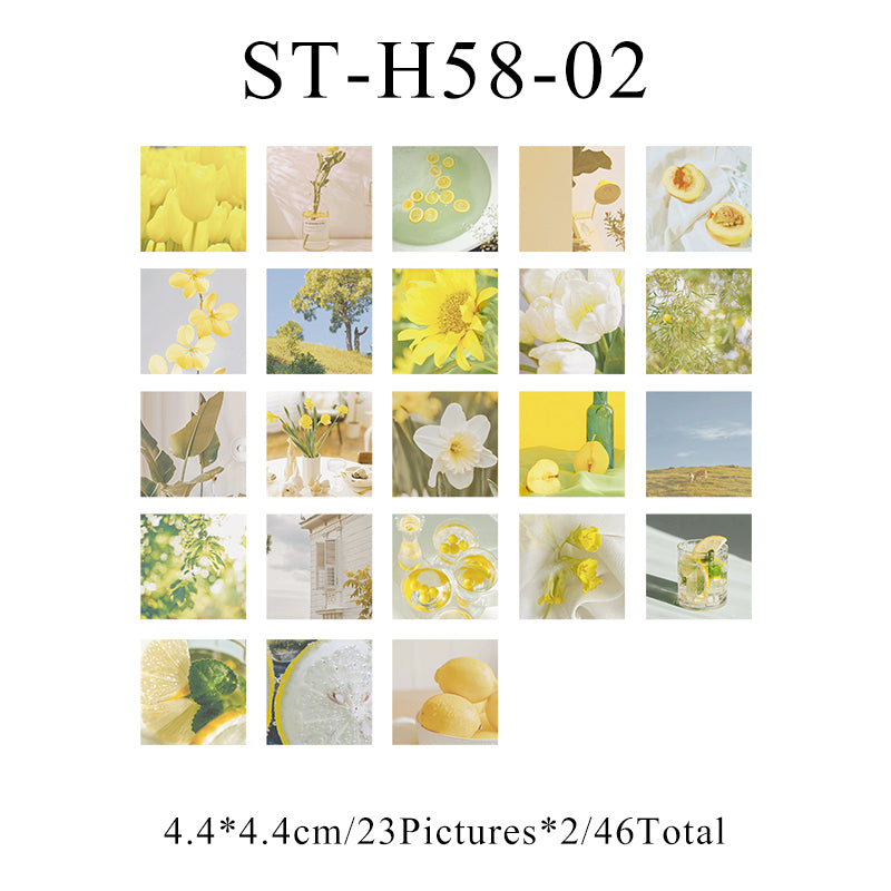 The flowers are still in full bloom Sticker