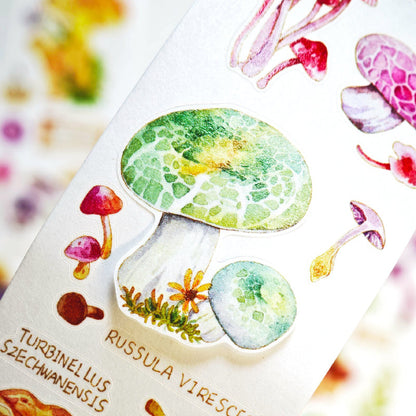 4.5cm*100cm Mushroom Identification Guide Die Cutting Washi/PET Tape featuring cat, and mushroom designs for journaling, scrapbooking and collage