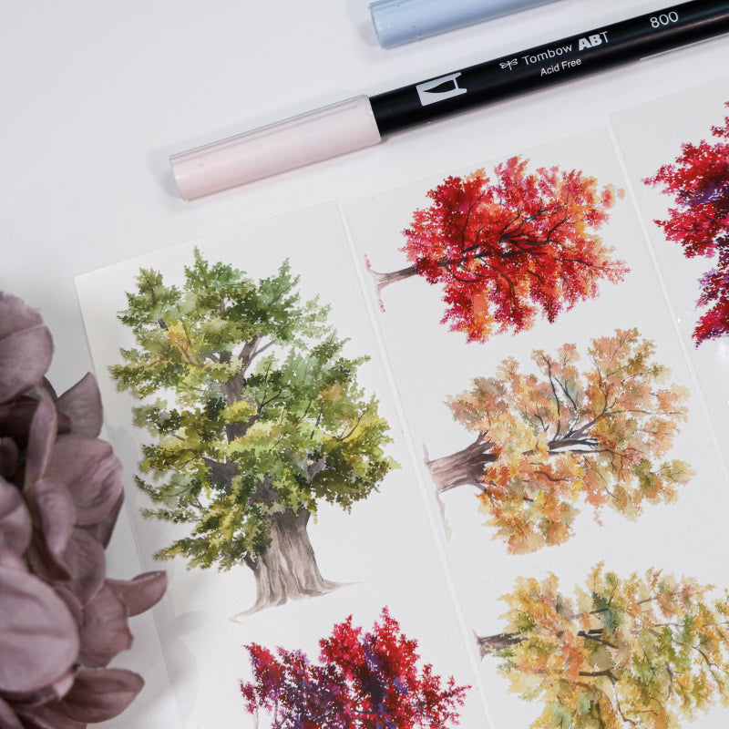 6.5cm*100cm Know Autumn PET Tape