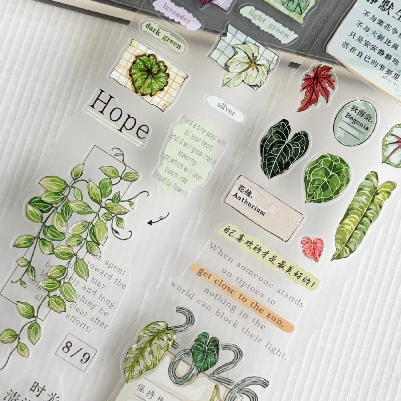 5cm*150cm Maintain Enthusiasm Die Cutting Washi/PET/Fog PET Tape