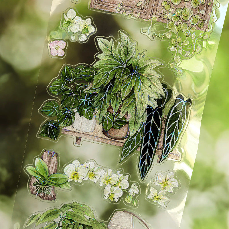 Whole Roll 6.5cm*5m Corner Forest Die Cutting Shell Light PET Tape featuring forest, and light designs for journaling, scrapbooking and collage