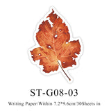 ST-G08-03