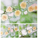6cm*100cm Three Parts Sugar Shell Light PET Tape