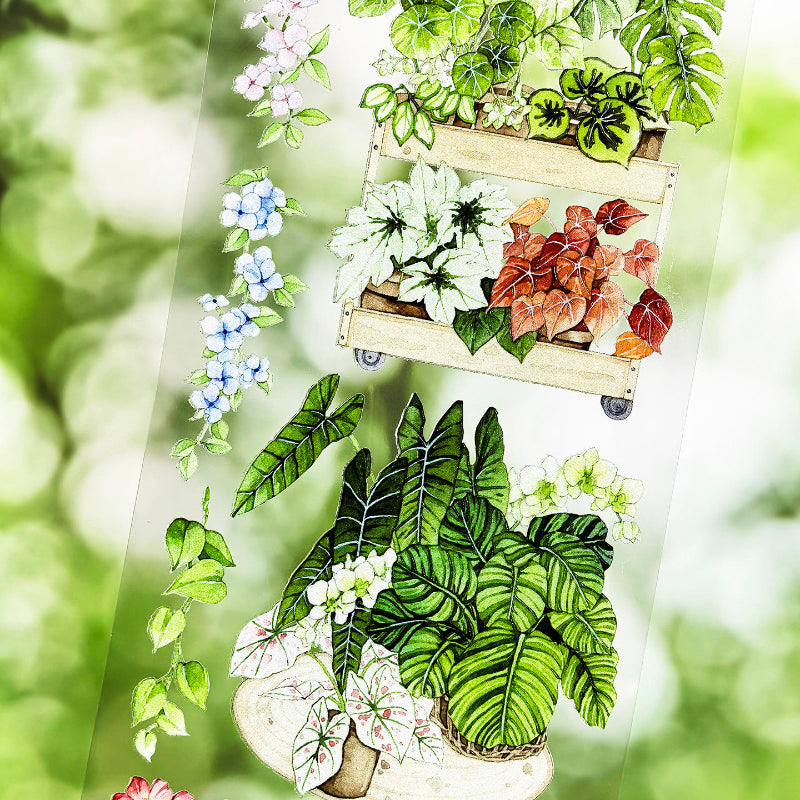 6.5cm*100cm Corner Forest Die Cutting Shell Light PET Tape featuring forest, and light designs for journaling, scrapbooking and collage
