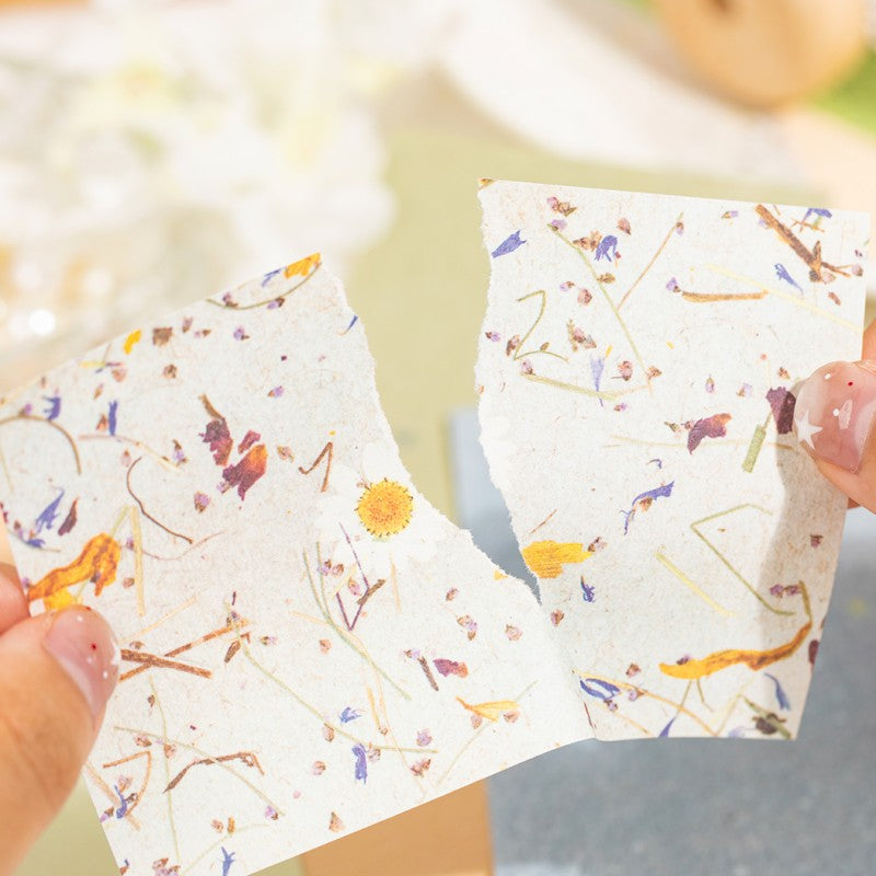 Kasuga Story Material Paper